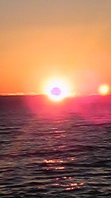 80466a2b.jpg