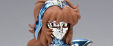 聖闘士聖衣神話 イーグル魔鈴