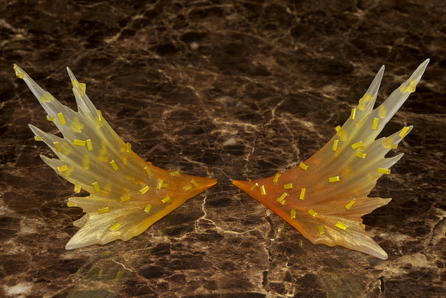 P00_6520