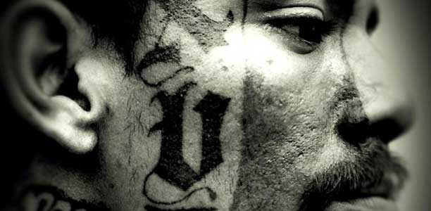 la_vida_loca_haut