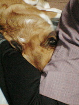 99739b3c.jpg