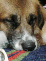 ee5a0a82.jpg