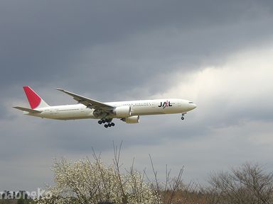 JAL