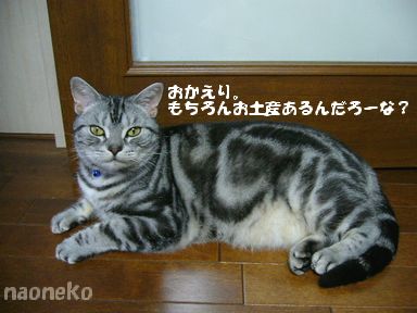 そんなモノありません