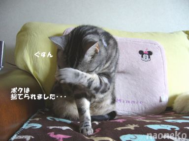 また留守番