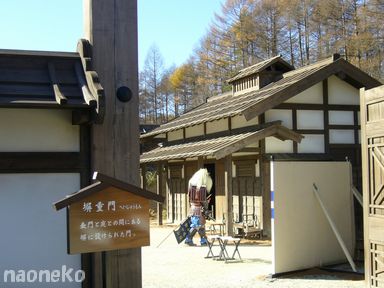 武田信玄風