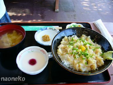 ぜいたくなめろう丼