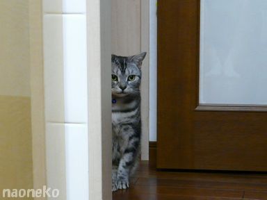 じーっ・・・