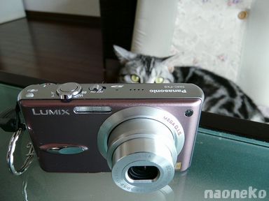 LUMIX DMC−FX8