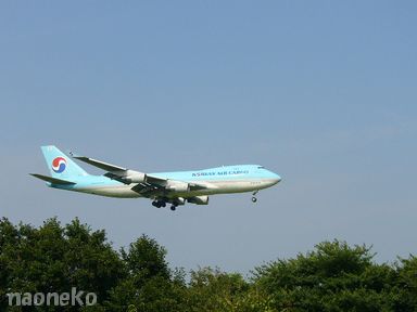 コリア カーゴ