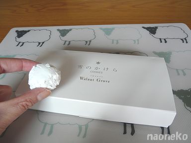 雪のかけら