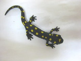 ツエ4