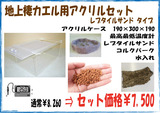 地上性カエル アクリル レプタイル