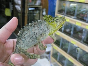 IMG_1202
