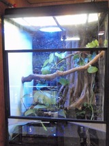 爬虫類　ゲージ　レイアウト 飼育ケージ・用品について 爬虫類情報 | 爬虫類用品・エキゾテラの