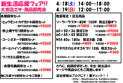 第2弾 大宮店活餌、用品即売会 ～新生活応援フェア～ +蜚蠊倶楽部