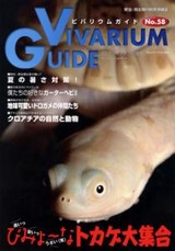 46525127