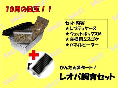 ¥ì¥ª¥Ñ¥»¥Ã¥È