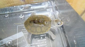 DSCN2972