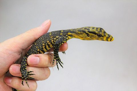 IMG_9073