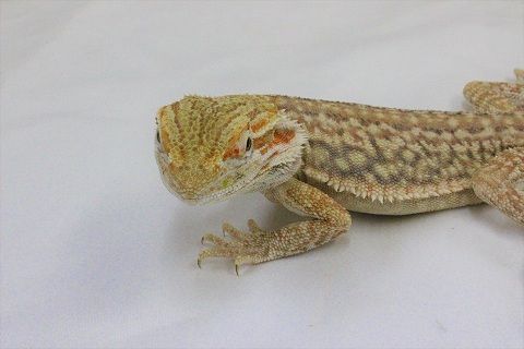 IMG_1373