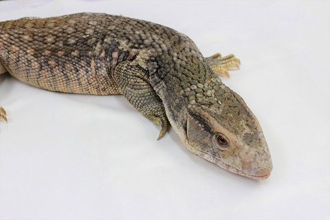 IMG_1400