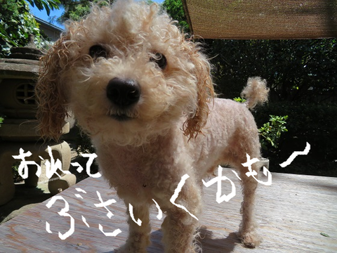 無題8