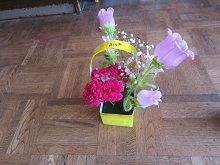 IMG_8103
