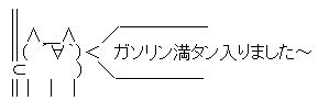 ガソリン満タン