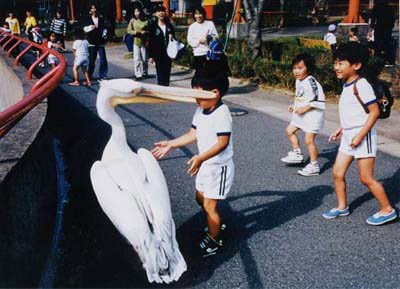 鳥に食われる子供