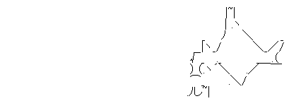 前夜(桃花鳥)11
