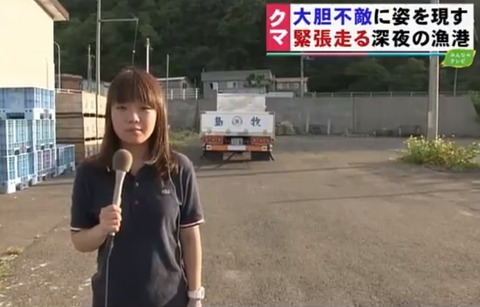 田中うた乃記者ヒグマ島牧村追加取材