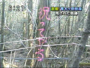 祝ってやる