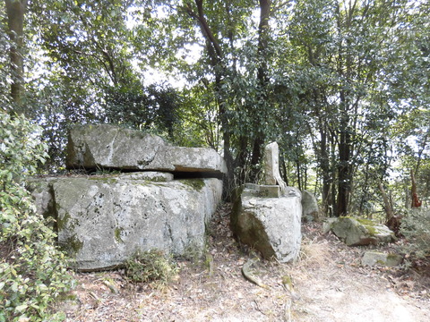 CIMG0182