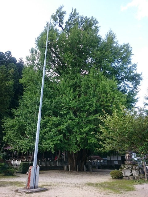 20160924-008