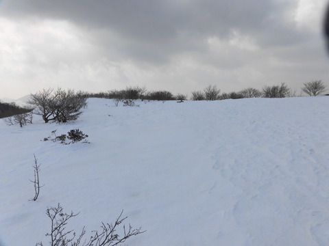 CIMG0099