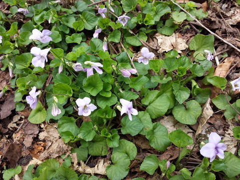 20150429_110934