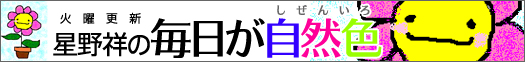 火曜更新 星野祥の毎日が自然色(しぜんいろ)