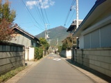 michi2