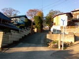 michi6