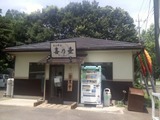 kinoko1