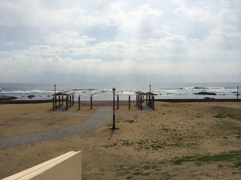 海