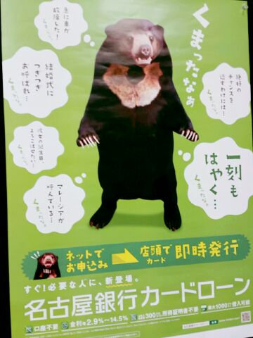クマ