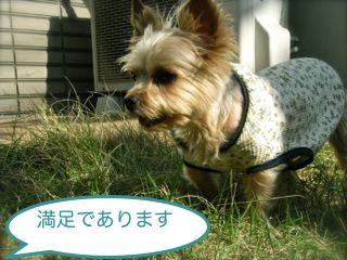 RIMG0102