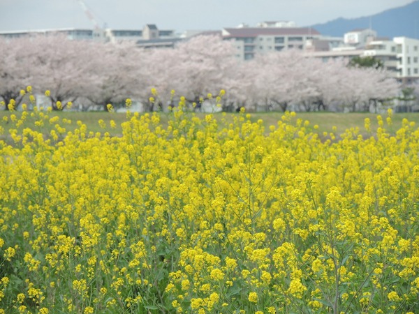 a0960_005607_m