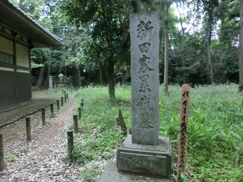 CIMG3265