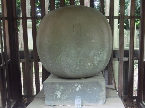 CIMG3271