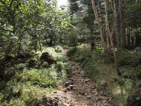 P9183389