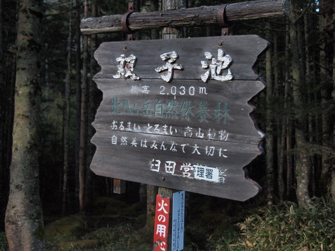 PA243967