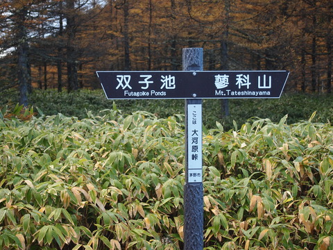 PA243948